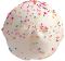 Fiesta de Colores